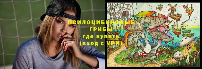 хочу наркоту  Канск  Галлюциногенные грибы MAGIC MUSHROOMS 